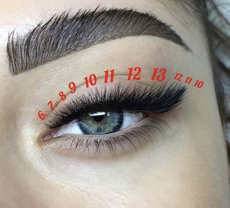 mapping cils